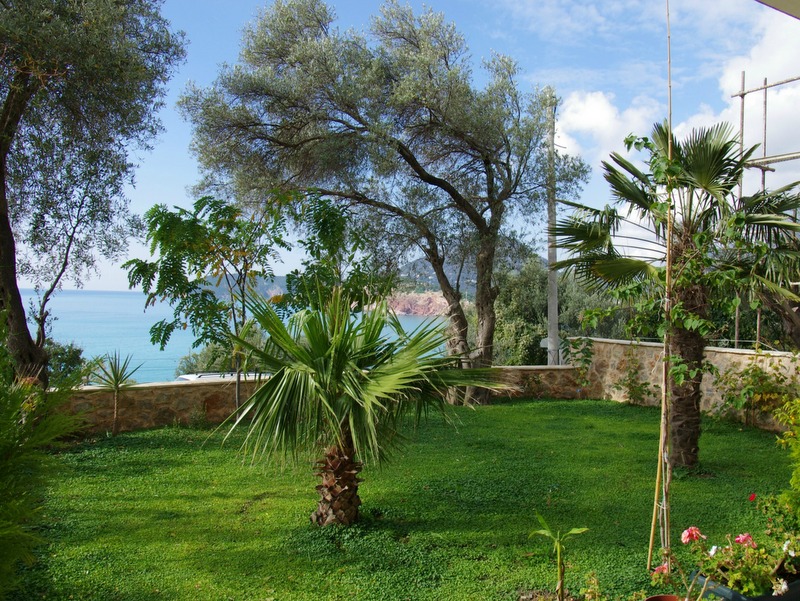 Green garden with palm and olive trees by the house in Sutomore, Montenegro, with panoramic views of the Adriatic Sea.