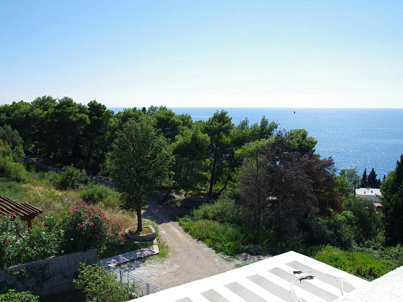 Panoramic view of the sea and pine forest from the house terrace in Sutomore, Bar Riviera, Montenegro.