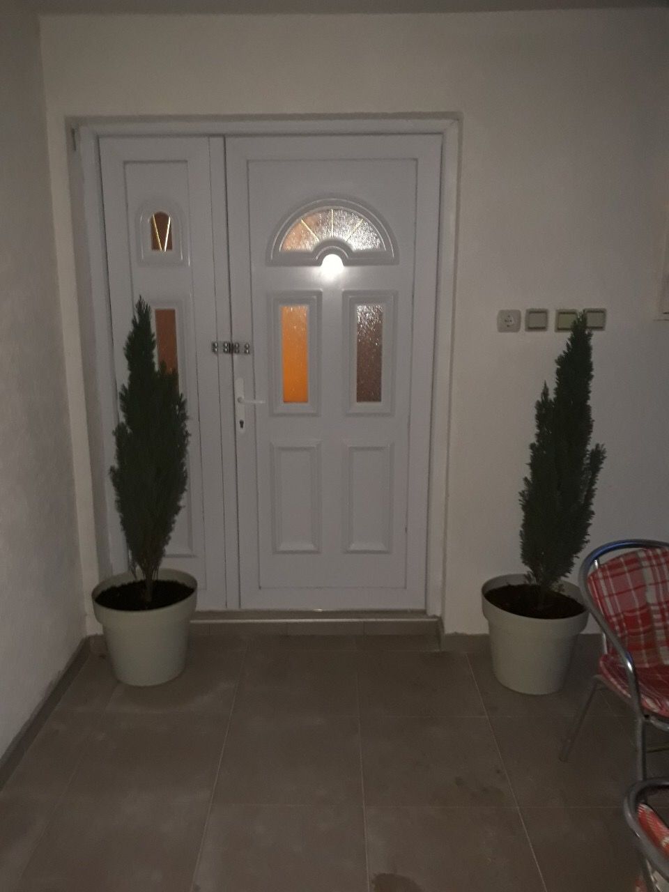 Entrance to a house in Zhanitsa, Montenegro: a white double door with glass inserts and decorative thuja trees in pots.