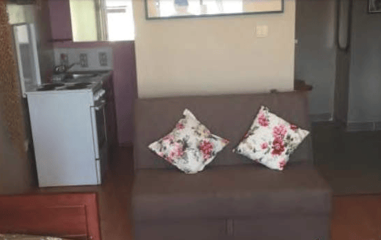 Living room interior with a sofa and kitchen area in an apartment in Igalo, Montenegro: cozy furniture and bright finishes.