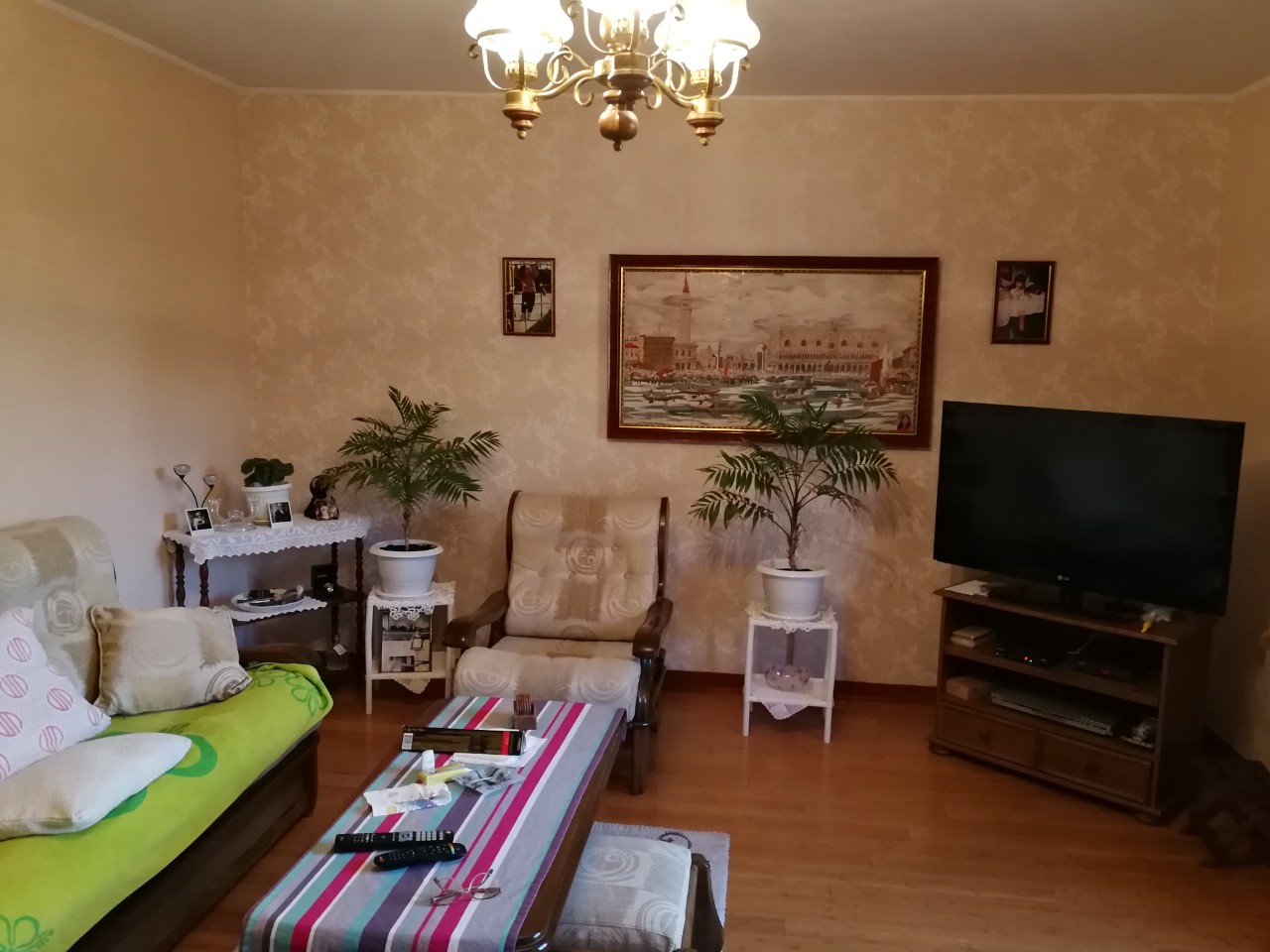 Cozy living room in a house in Tivat, Montenegro: soft seating, coffee table, TV area, and houseplants.
