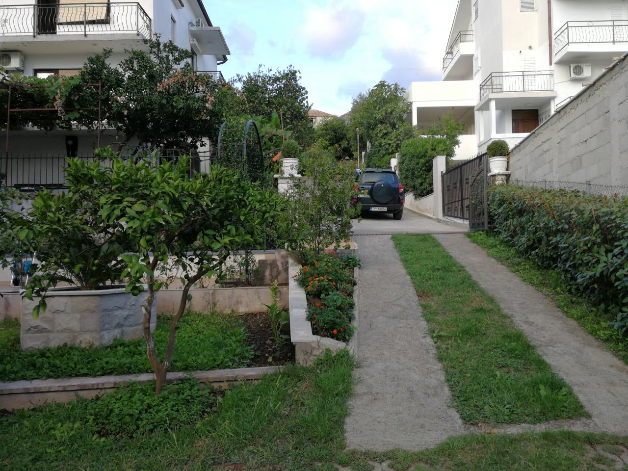 Private house in Tivat, Montenegro: view of a well-kept yard, a green garden with a lemon tree, and a parking space.