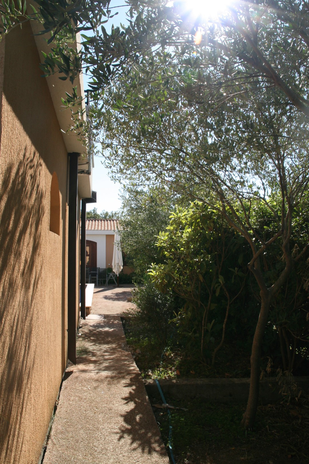 Cozy villa courtyard in Kavac, Bay of Kotor, Montenegro: a path along the house, olive trees, and a terrace.