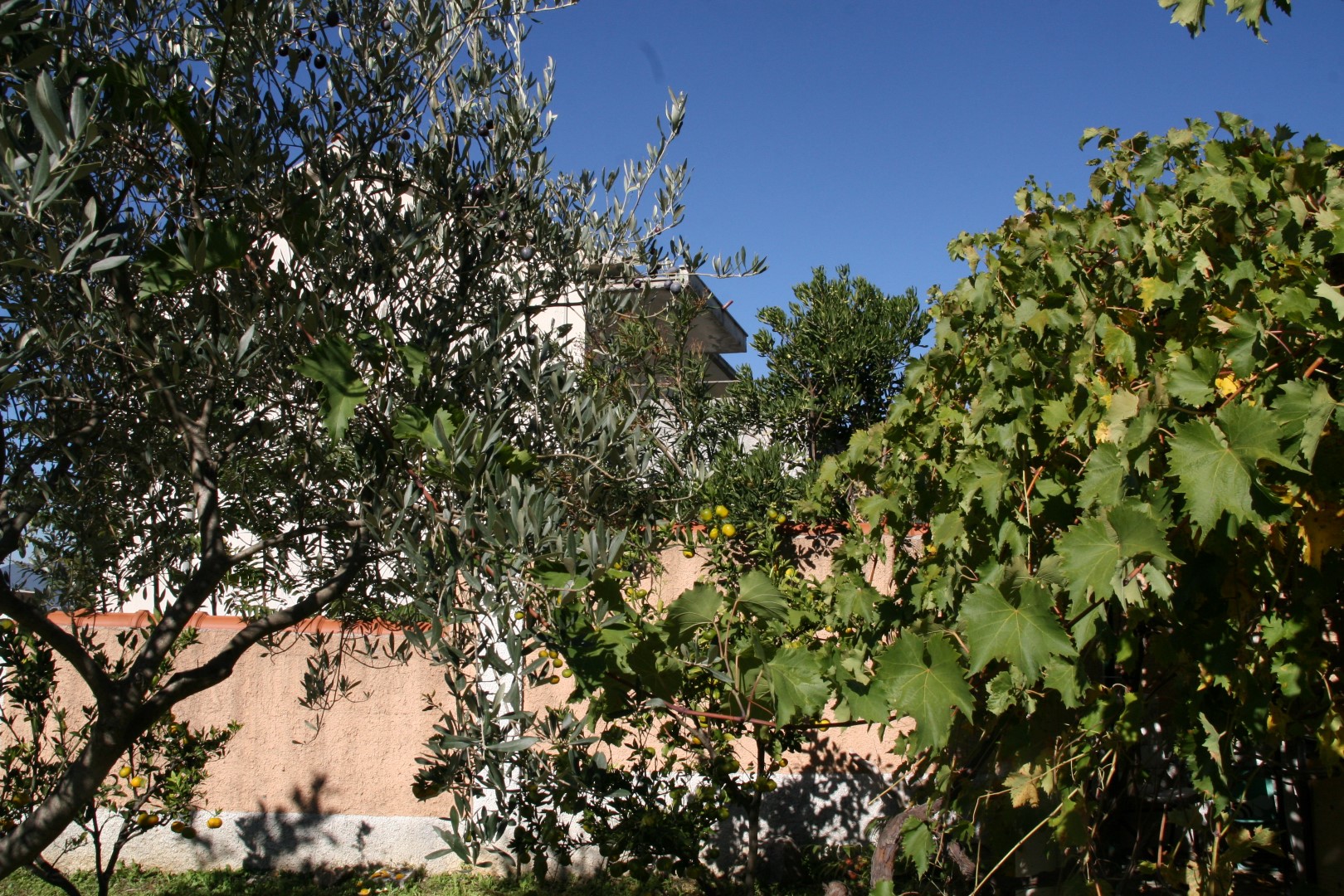 Villa in Kavači No. 1309
