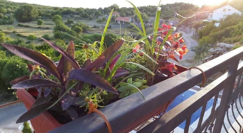 View from the villa balcony in Krymovice, Montenegro: flower pots on the wrought-iron railing and a panorama of green hills.