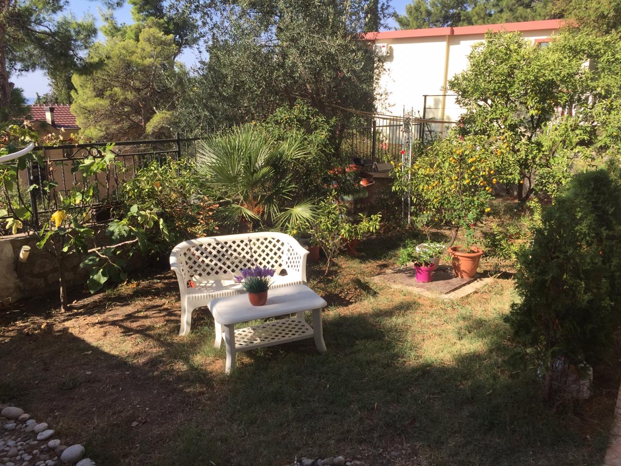 Cozy green garden with patio furniture by the house in Shushan, Montenegro: palm trees, citrus trees, and a seating area.