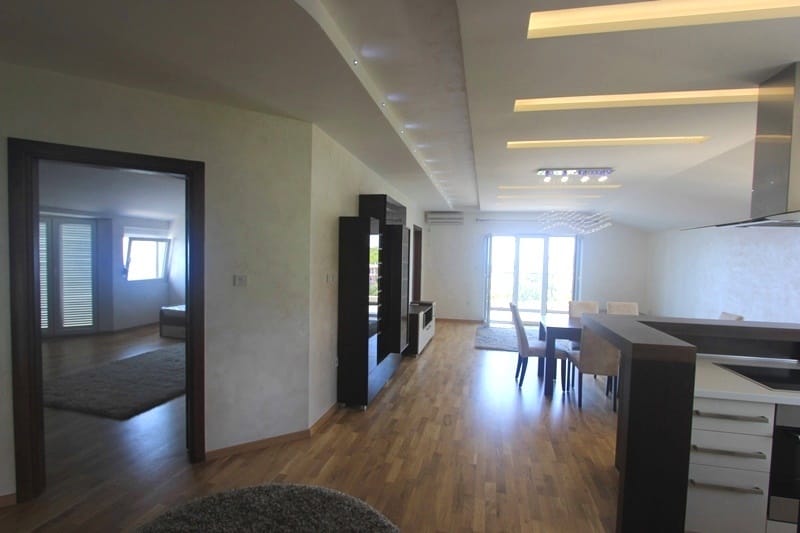 Modern living room with kitchen in a house in Krimovica, Montenegro: parquet flooring, built-in lighting, and access to the terrace.