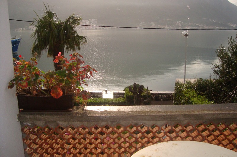 View from the balcony of the sea and mountains in a house in Dobrota, Montenegro: a terrace with flowers, a palm tree, and a panoramic sea view.