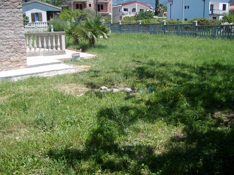 Green plot with palm trees and a stone terrace by a villa in Bar, Montenegro.