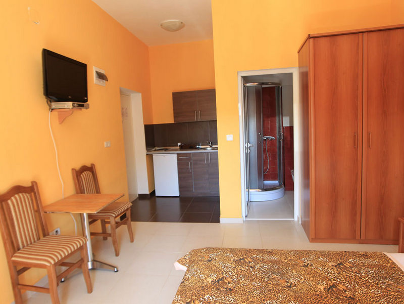 Hotel room interior in Budva, Montenegro: living room with kitchen, dining area, wardrobe, and separate shower cabin.