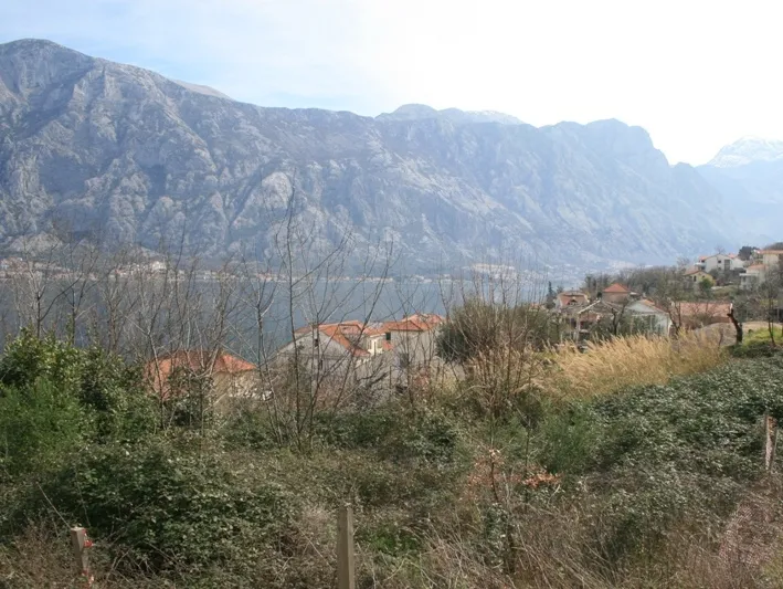 View of a mountain range and water body with coastal houses, foreground features dry vegetation.