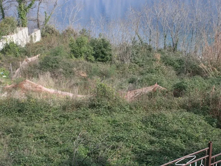 Overgrown slope with vegetation and mesh fencing overlooking a body of water.