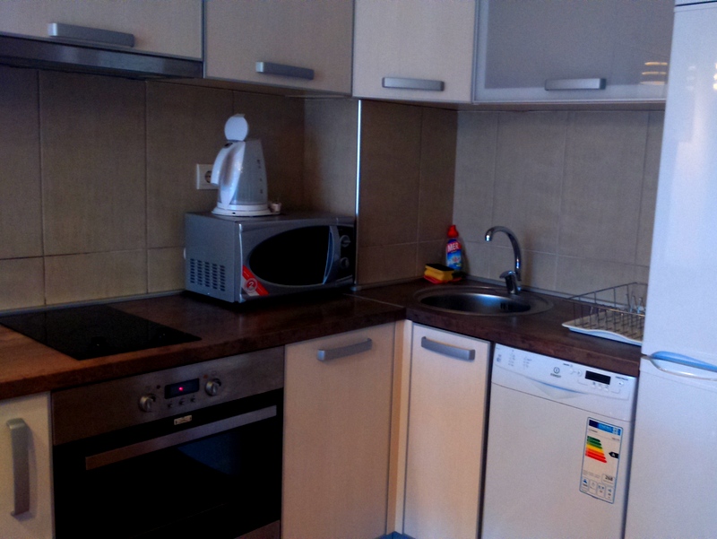Modern kitchen in an apartment in Budva, Montenegro: built-in appliances, oven, dishwasher, and sink.