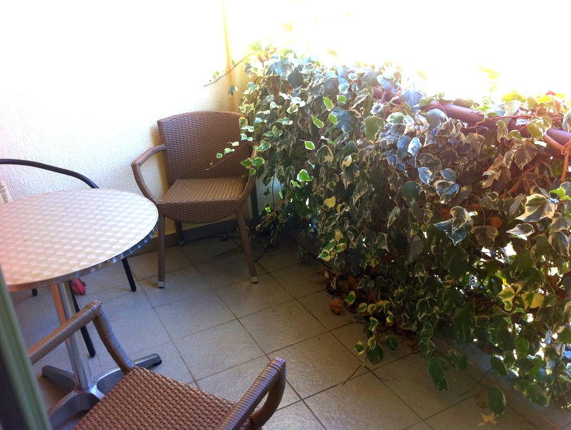 Cozy balcony with wicker furniture and live ivy in an apartment in Bečići, Montenegro. Tiled floor, greenery view.