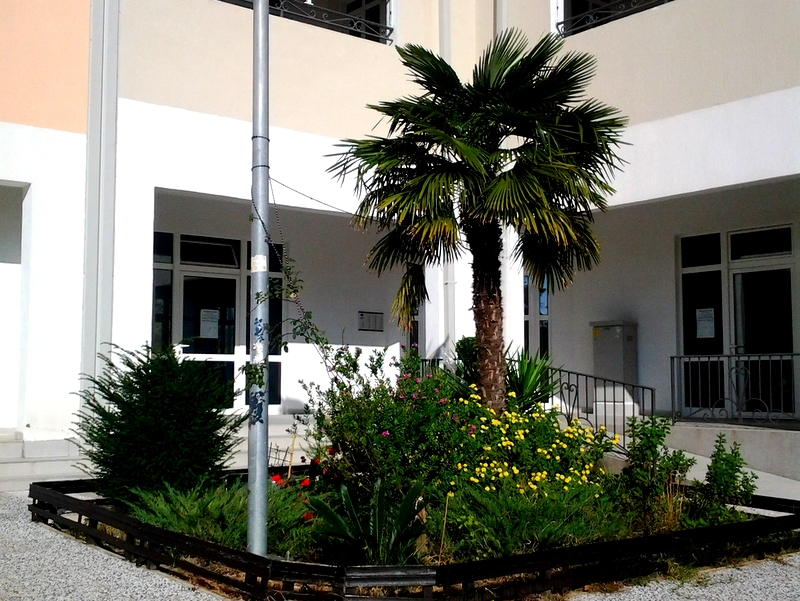Apartment in Bar No. 738