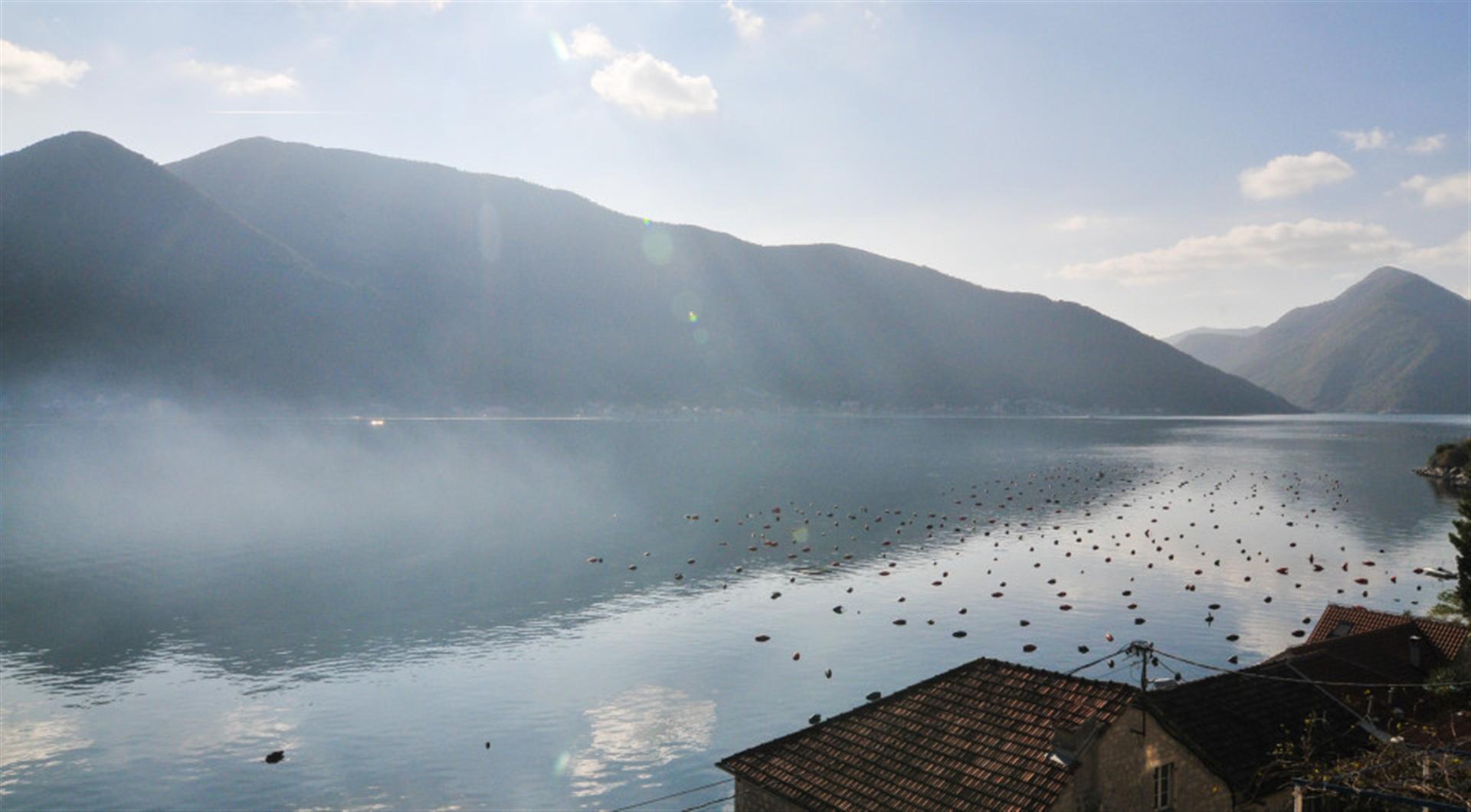 Panoramic view of Kotor Bay and the mountains from a villa in Dražin Vrt, Montenegro: seascape with buoys on the water.