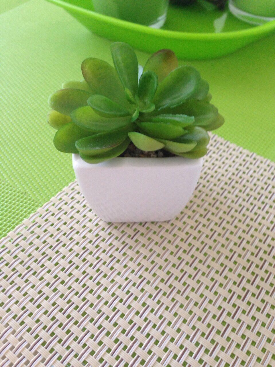Apartment interior decor in Bečići, Montenegro: an artificial succulent in a white pot on a woven placemat.