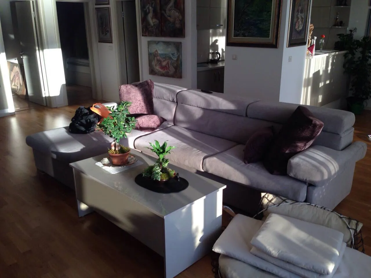 Bright room with a gray sectional sofa, white coffee table, and bonsai plants on wooden flooring.