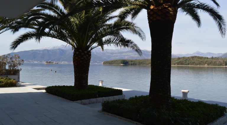 Sea and mountain view from the villa terrace in Tivat, Montenegro: palm trees, stone finishes, and the coastline.