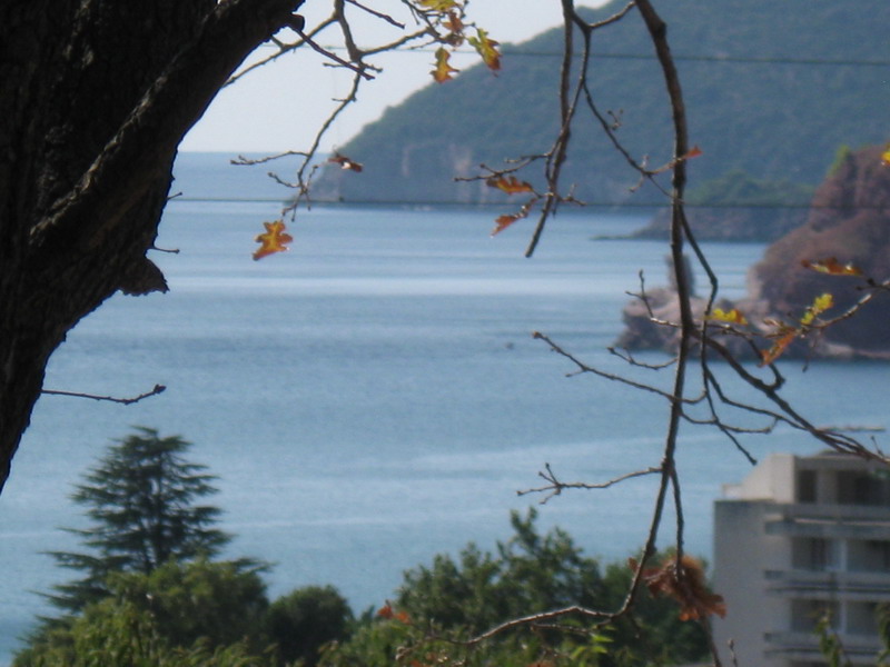 Picturesque view of the Adriatic Sea and mountains from a house in Sutomore, Montenegro, framed by tree branches.