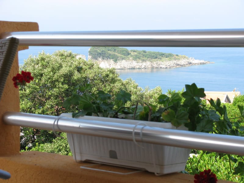 View from the balcony of a house in Utjeha, Montenegro: a sea panorama, an island, green trees, and potted flowers on the railing.