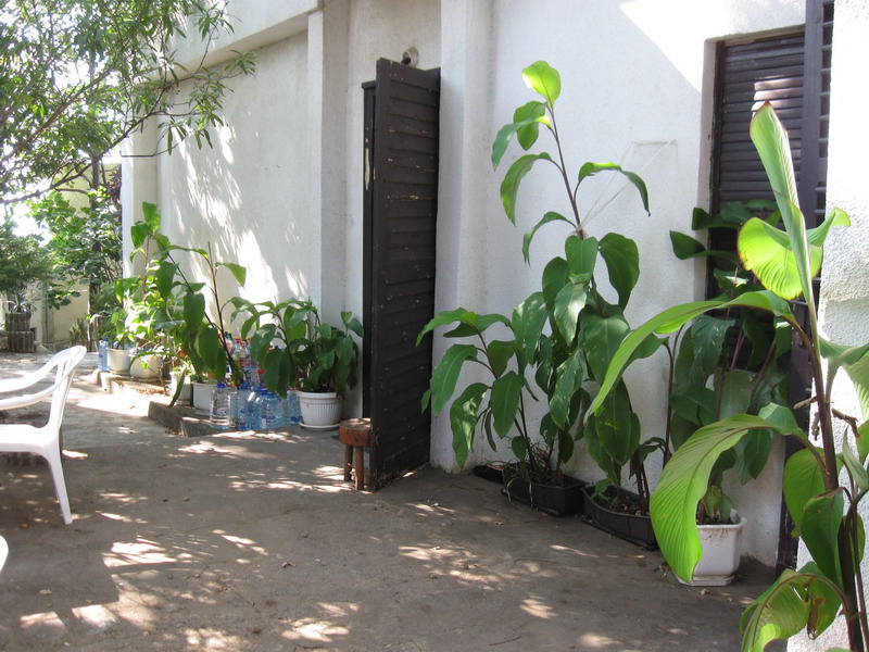 Cozy house terrace in Sutomore, Montenegro: white wall, green potted plants, and outdoor garden furniture.