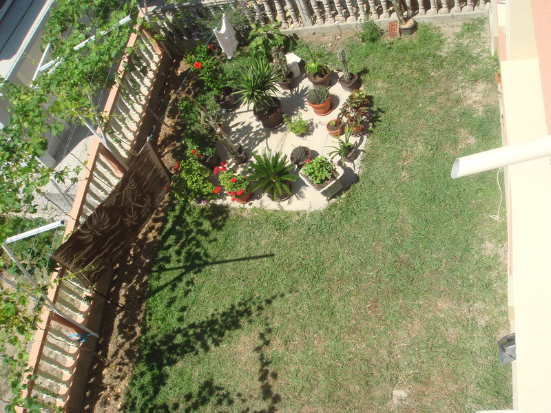 Top view of a green garden with houseplants and a vineyard by the house in Shushan, Montenegro.