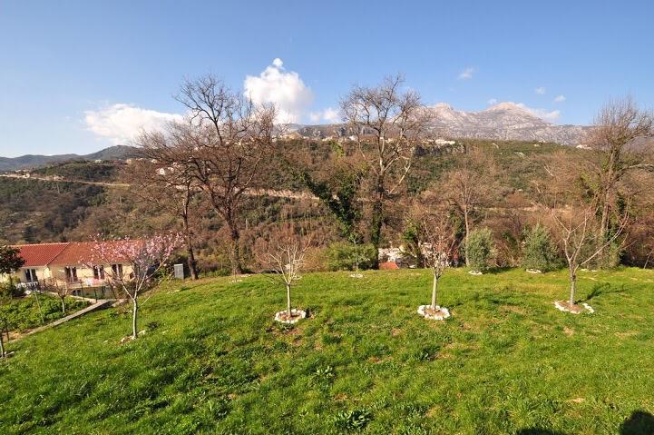 Green plot with a garden and panoramic mountain views by a villa in Herceg Novi, Montenegro.