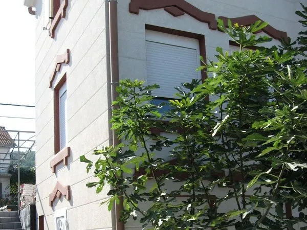 House facade with windows and decorative trim, a green leafy tree is visible in the foreground.