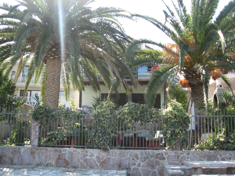 Two-story house in Tivat, Montenegro, with a terrace, stone fence, and tall palm trees on the property.