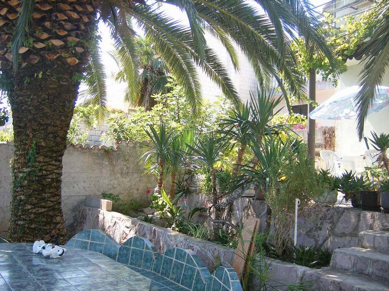 Cozy terrace with stone furniture and palm trees in a private house in Tivat, Montenegro, surrounded by a green garden.