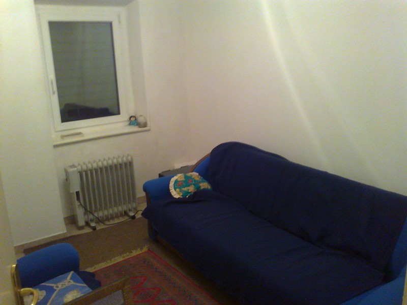 Cozy living room with a blue sofa and heater in an apartment in Budva, Montenegro: light walls and a rug on the floor.