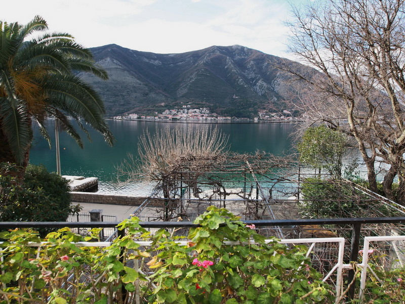 View from a balcony of a house in Dobrota, Montenegro: panorama of the Bay of Kotor, mountains, a palm tree, and a terrace with a vineyard.