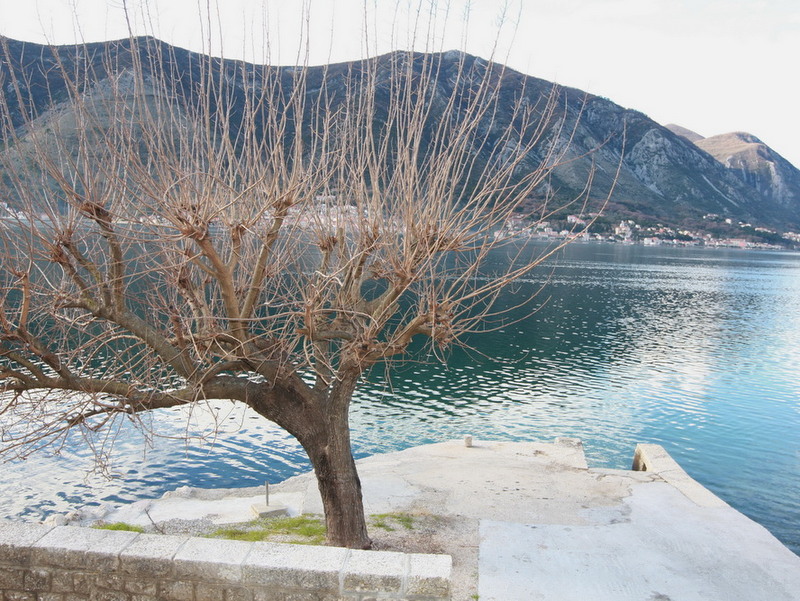 Sea and mountain view from a private pier by a house in Dobrota, Montenegro: coastline with a tree and a stone dock.