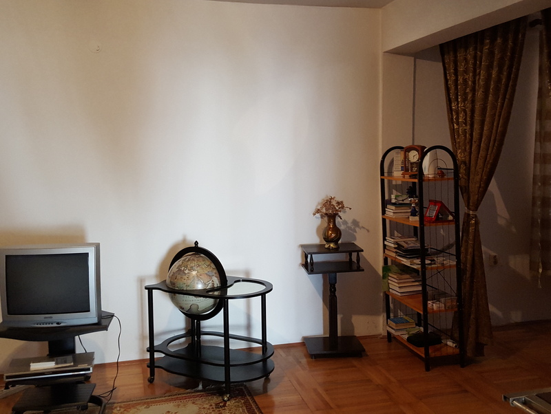 Living room in a house in Shushan, Montenegro: parquet floor, vintage globe bar, bookshelf, and TV area.
