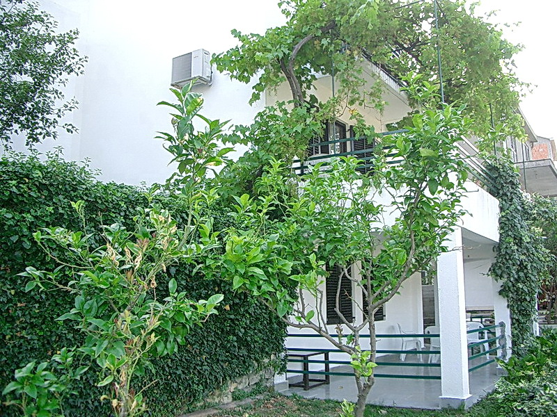 White villa in Budva, Montenegro: a terrace with garden furniture, covered with grapevines, and a green garden with a lemon tree.