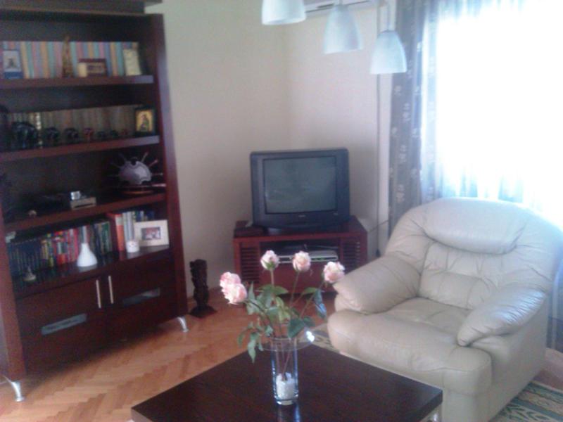 Living room in a house in Shushan, Montenegro: a light armchair, a dark bookcase, a TV, and a coffee table with flowers.