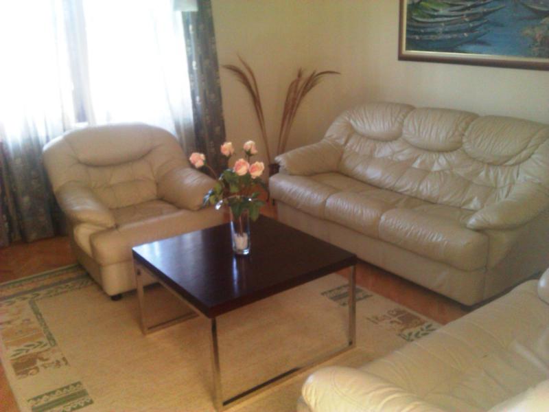 Cozy living room with leather sofas and a coffee table in a house, Shushan, Montenegro.