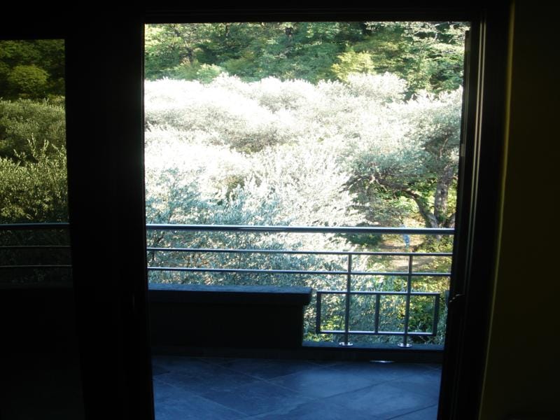 View from the apartment balcony in Miločer, Montenegro: a terrace with a stone floor and a green garden with olive trees.