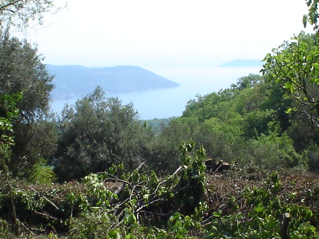 Panoramic view of the sea and mountains from a plot of land in Herceg Novi, Montenegro, surrounded by greenery and olive trees.