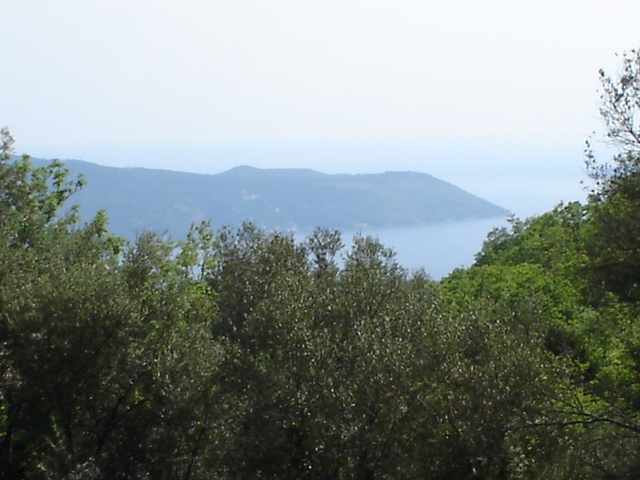 Panoramic view of the sea and mountains from a plot of land in Herceg Novi, Montenegro, surrounded by dense green vegetation.