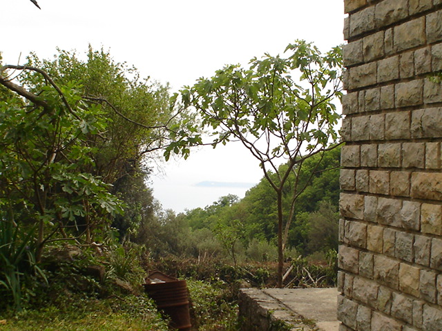 Sea view and green garden from the plot in Herceg Novi, Montenegro, stone house masonry and natural landscape.