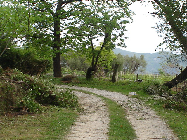 Dirt road to a land plot in Herceg Novi, Montenegro, among trees and mountain scenery.