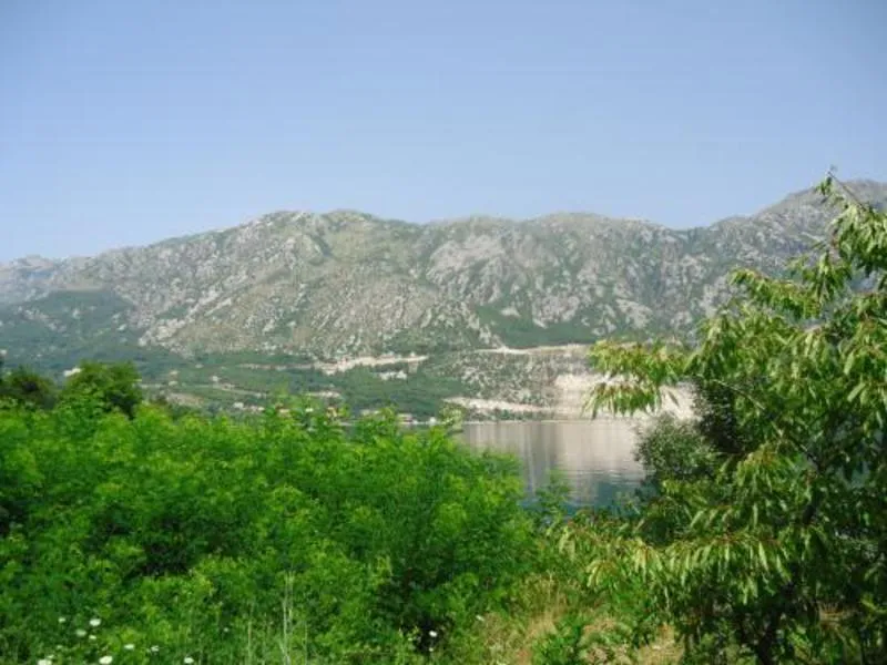 Landscape view featuring mountains, a body of water, and lush green vegetation in the foreground under a clear sky.