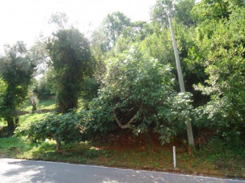 Land plot with trees and access to an asphalt road in the village of Kostanica, Montenegro.