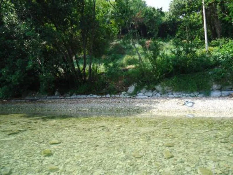 Clear shallow water over a rocky shore surrounded by dense green trees and bushes.