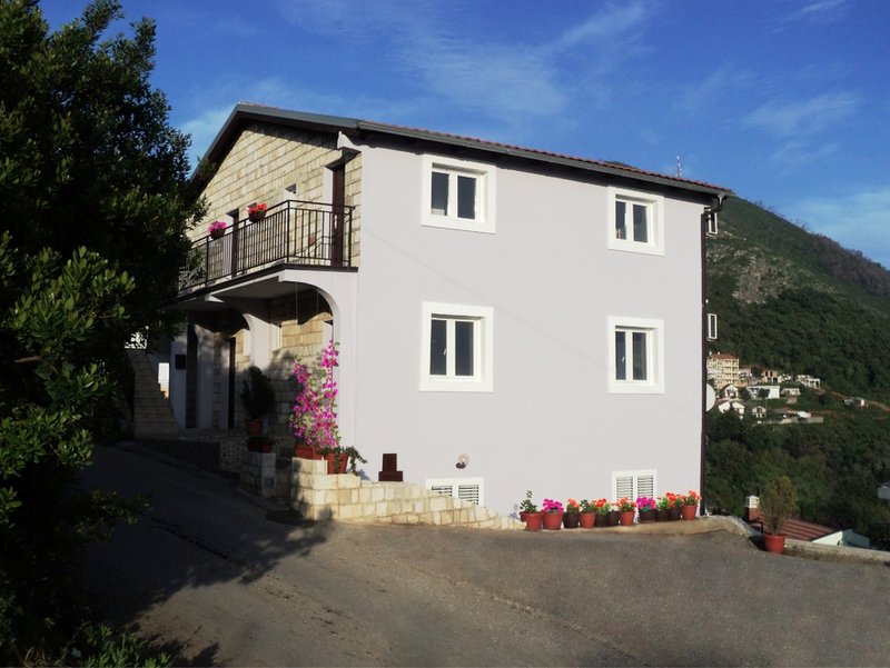 Two-story villa in Budva, Montenegro: stone and light stucco facade, balcony and flowers by the entrance, mountain view.