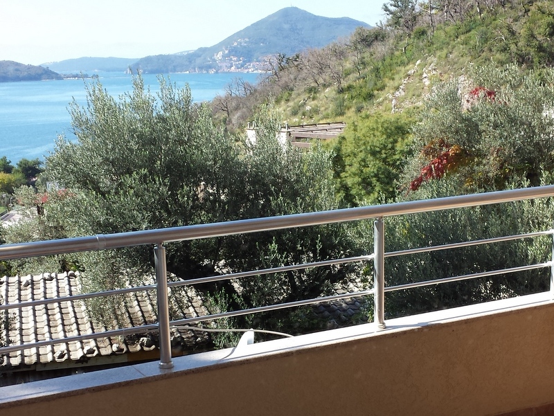 View from the apartment balcony in Pržno, Montenegro: panoramic sea, mountain, and olive tree views with a metal railing.