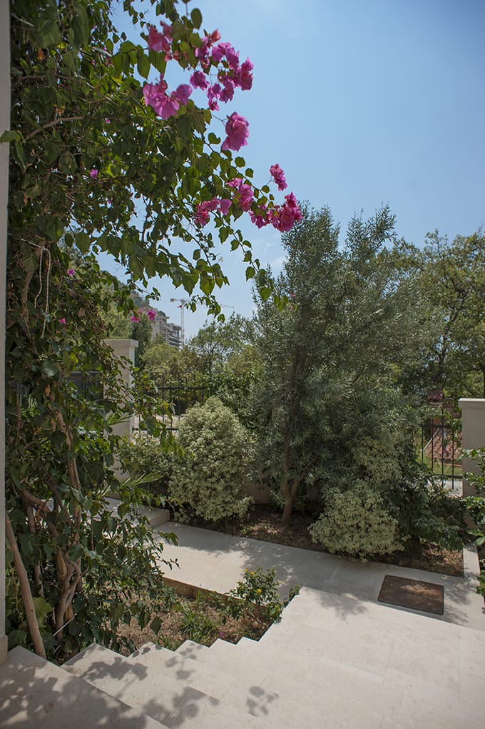 View of an outdoor garden with stone steps, green shrubs, and bright pink bougainvillea flowers under a clear blue sky.