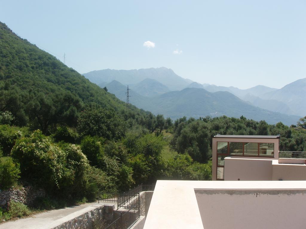 Panoramic view of the mountains and green garden from the terrace of a house in Šušanj, Bar Riviera, Montenegro.